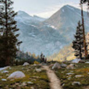 Meet your Posher, Benji